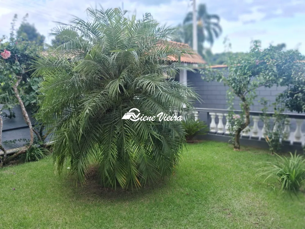 Chácara, 3 quartos, 800 m² - Foto 4