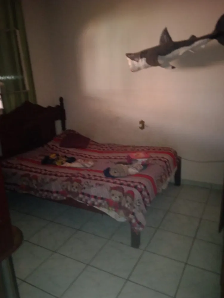 Casa, 4 quartos, 380 m² - Foto 10