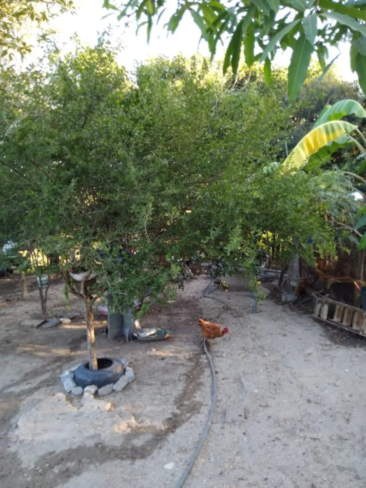 Casa, 3 quartos, 180 m² - Foto 8