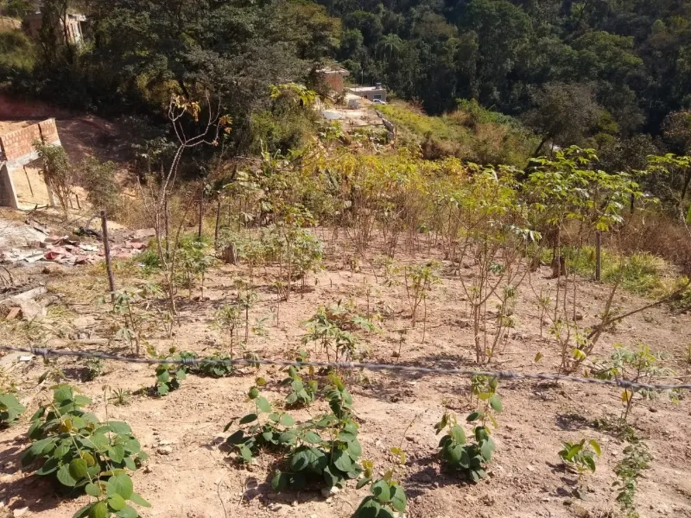 Terreno, 500 m² - Foto 1