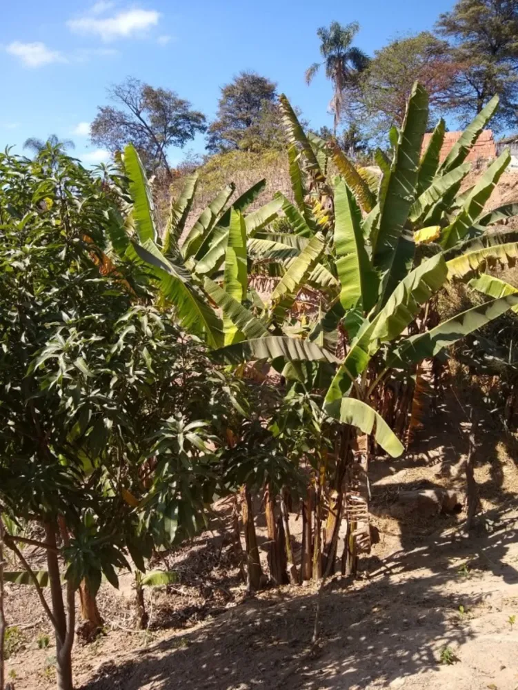 Terreno, 500 m² - Foto 5