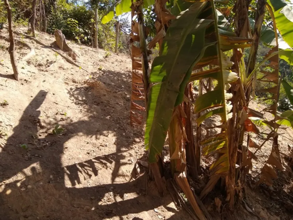 Terreno, 500 m² - Foto 6