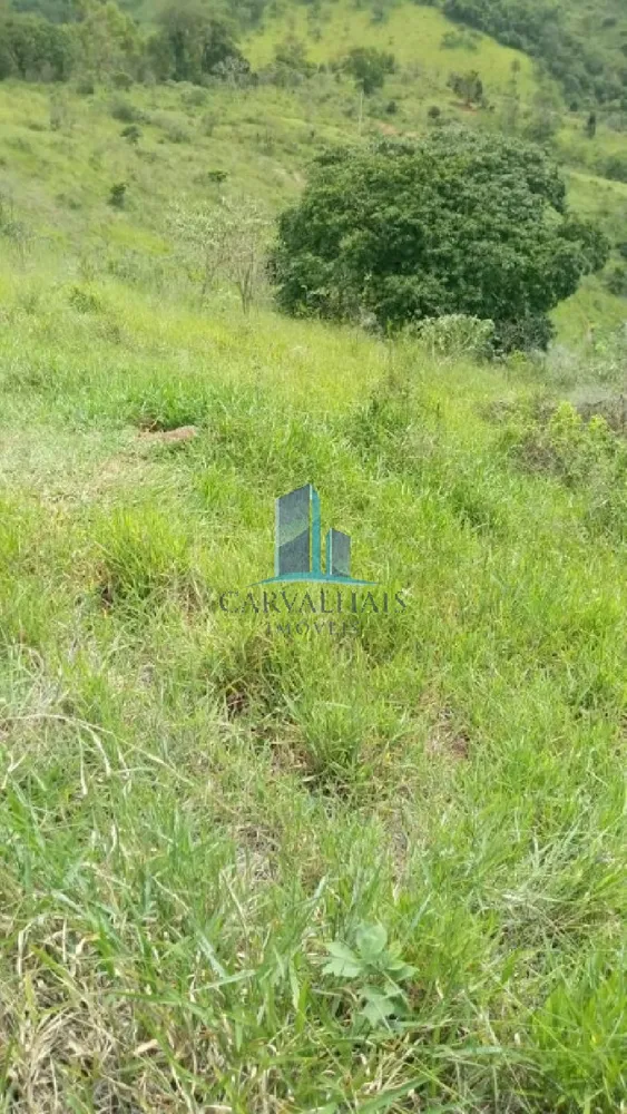 Terreno, 13 hectares - Foto 4