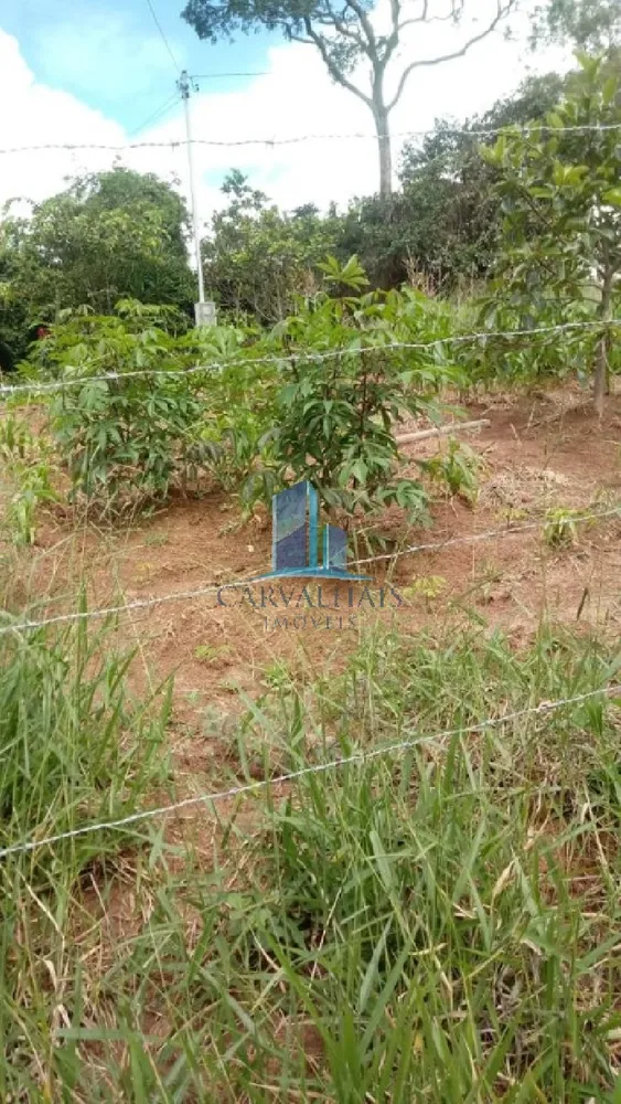 Terreno, 13 hectares - Foto 1