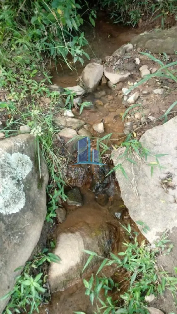 Terreno, 13 hectares - Foto 7