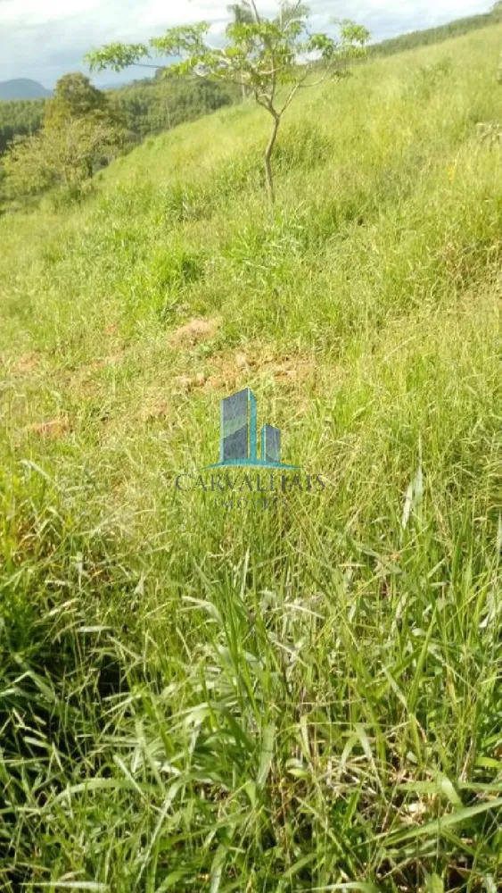 Terreno, 13 hectares - Foto 2