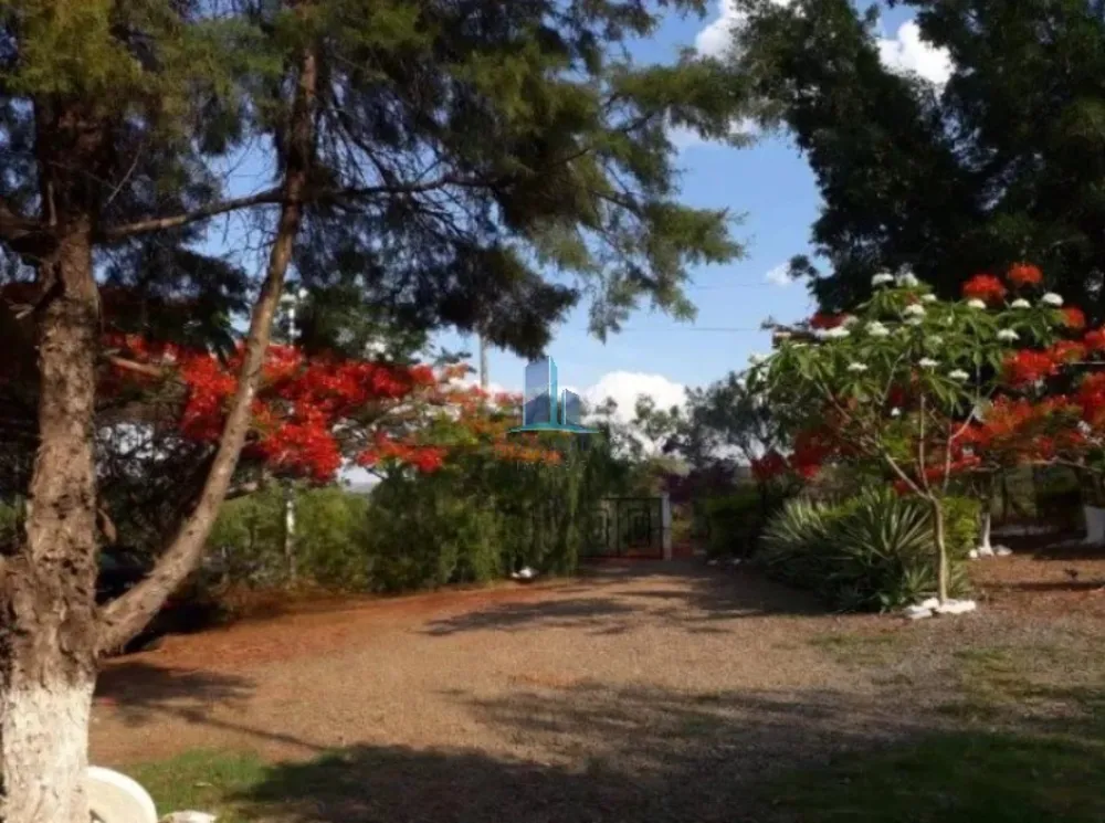 Sítio, 5 quartos, 5 hectares - Foto 6
