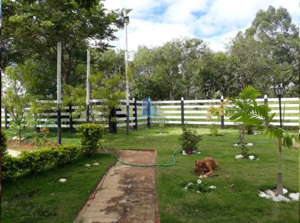 Sítio, 5 quartos, 5 hectares - Foto 12