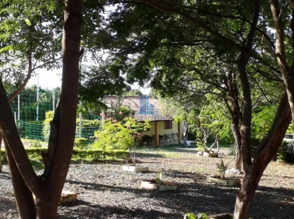 Sítio, 5 quartos, 5 hectares - Foto 1