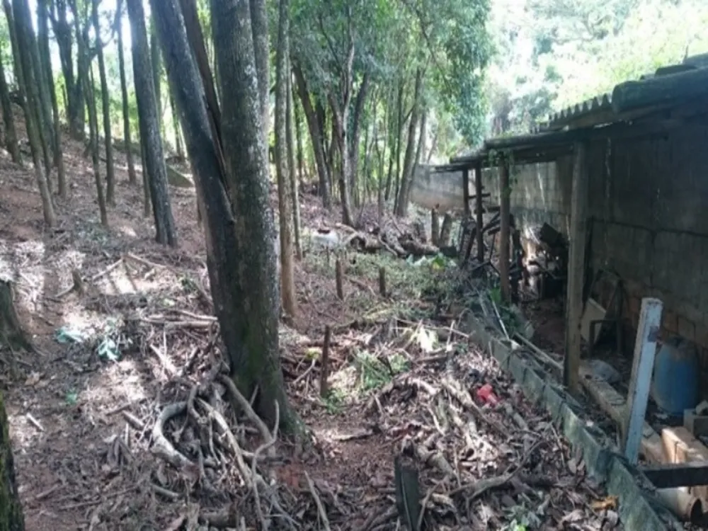 Terreno, 1740 m² - Foto 5