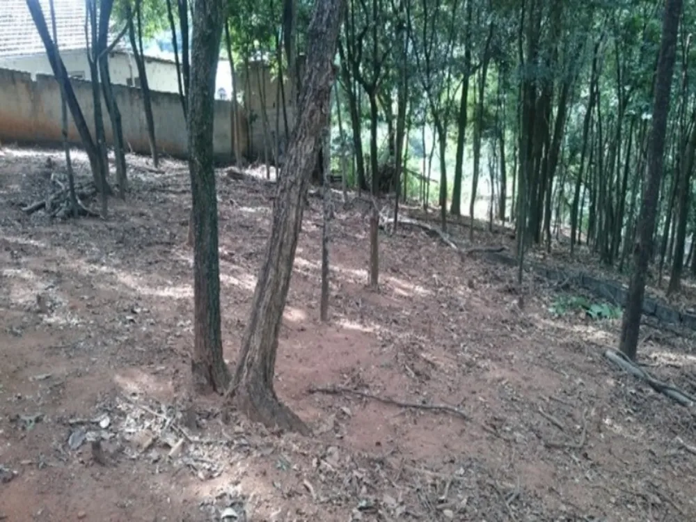 Terreno, 1740 m² - Foto 4