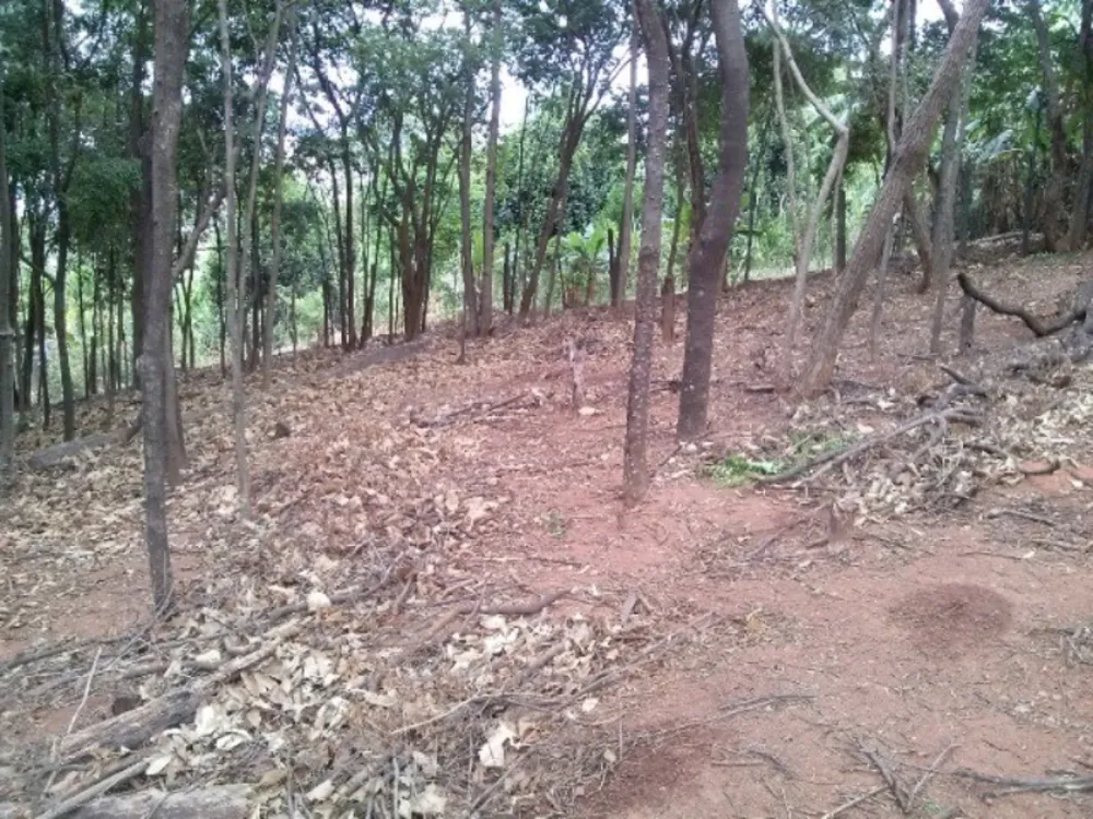 Terreno, 1740 m² - Foto 3