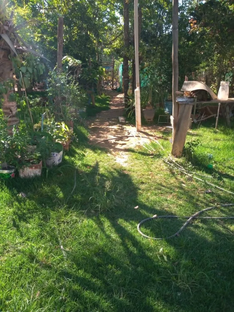 Chácara, 4 quartos - Foto 2