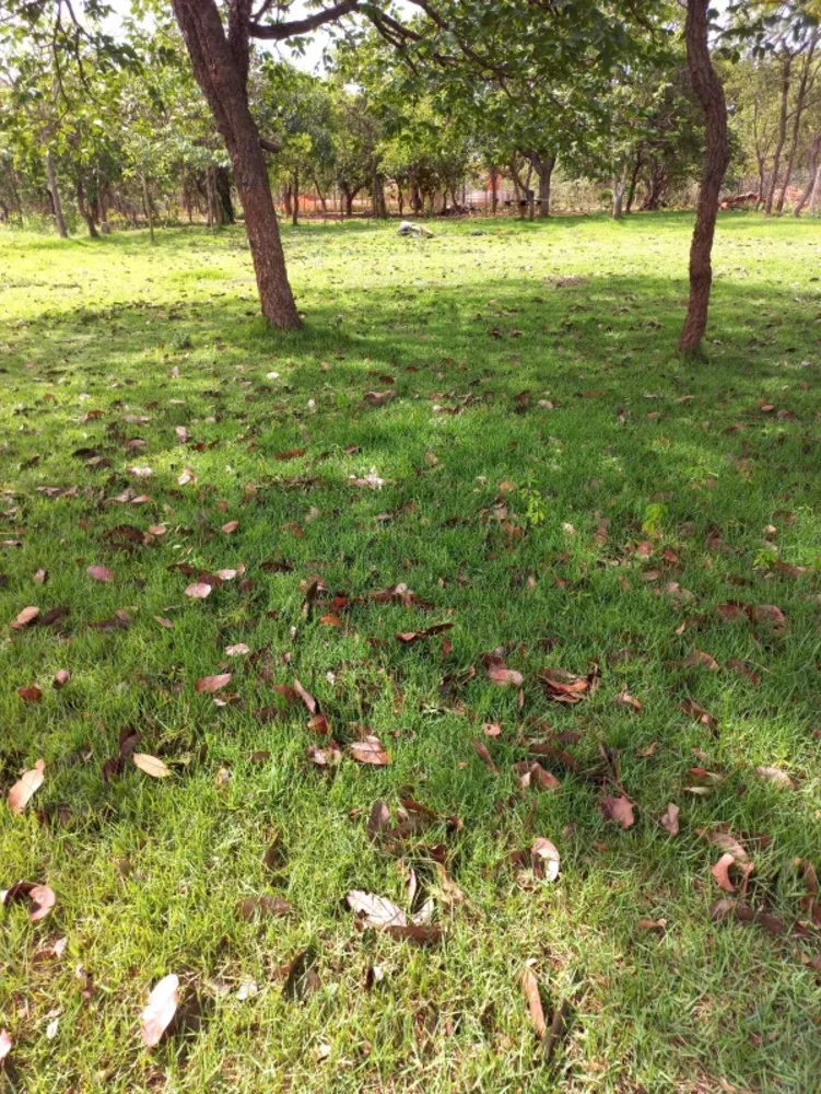 Chácara, 4 quartos - Foto 3
