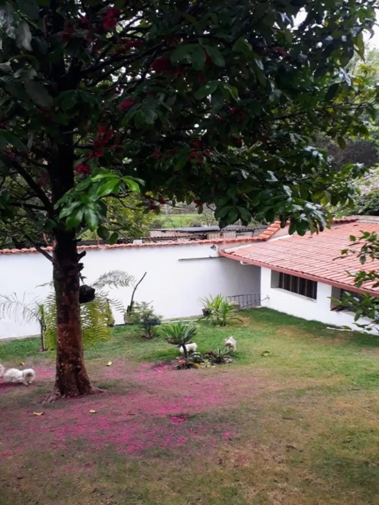 Casa, 3 quartos, 360 m² - Foto 6