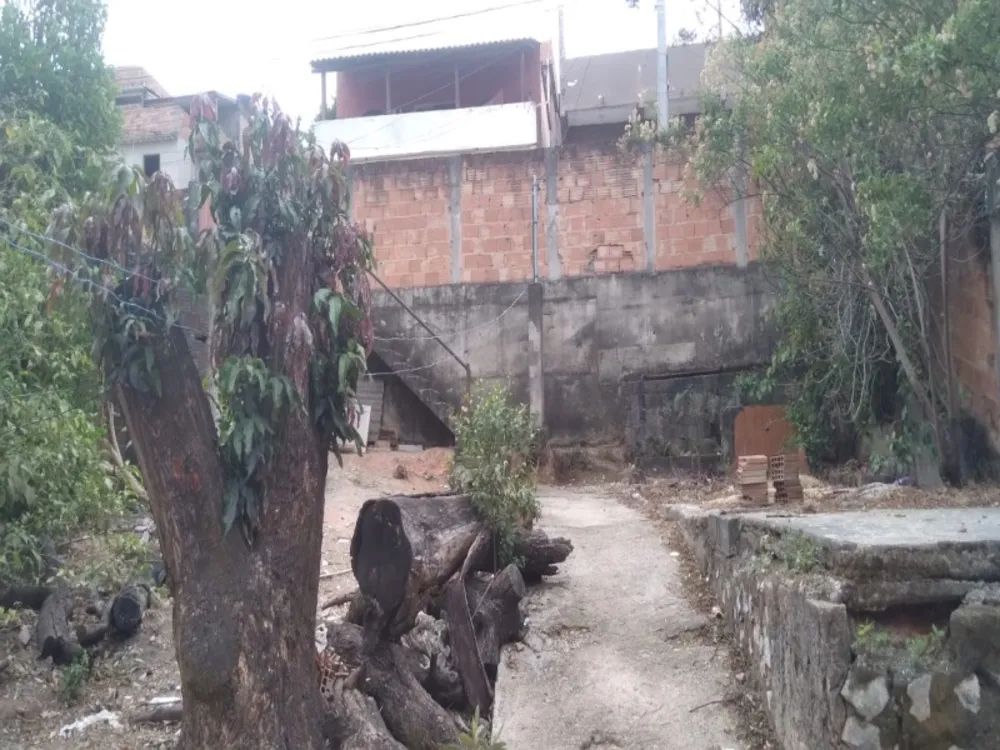 Casa, 4 quartos, 360 m² - Foto 5
