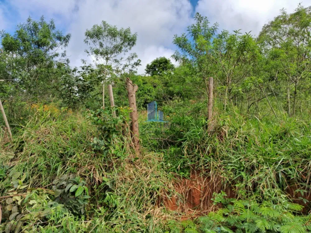 Terreno, 300 m² - Foto 3