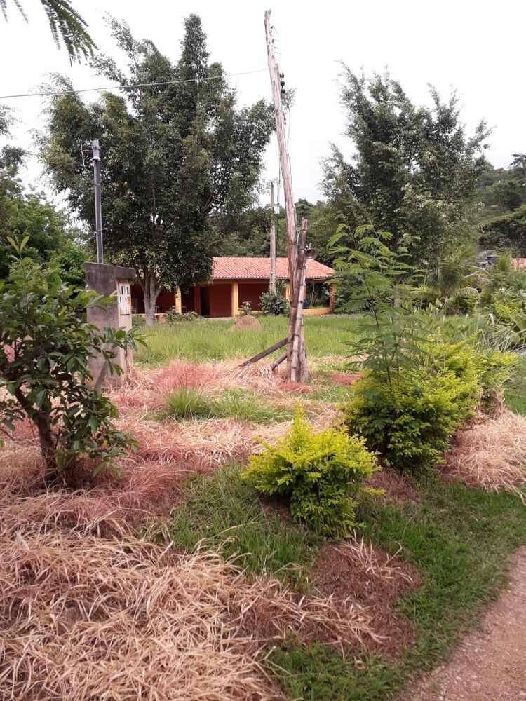 Sítio à venda com 7 quartos, 10000m² - Foto 12