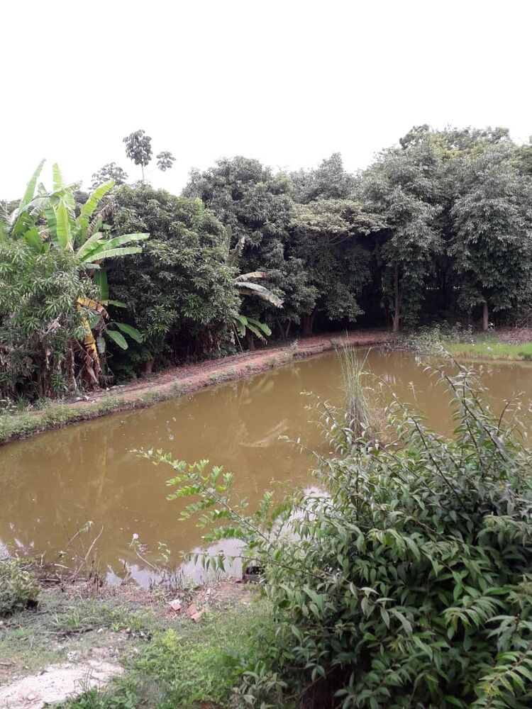 Sítio à venda com 7 quartos, 10000m² - Foto 11