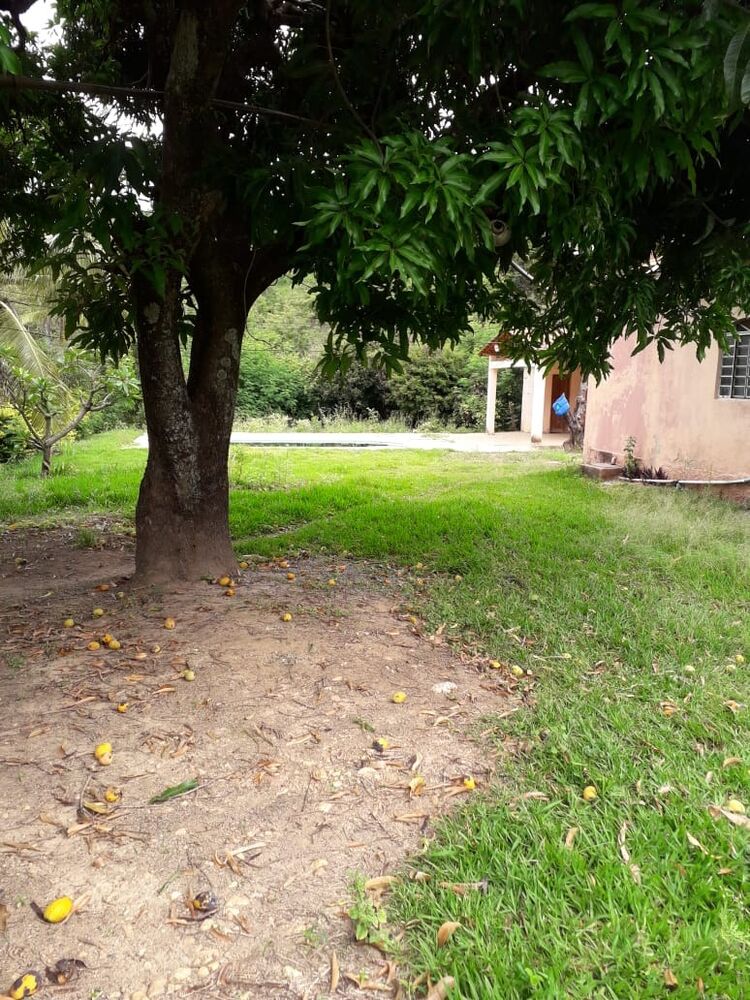 Sítio à venda com 7 quartos, 10000m² - Foto 3