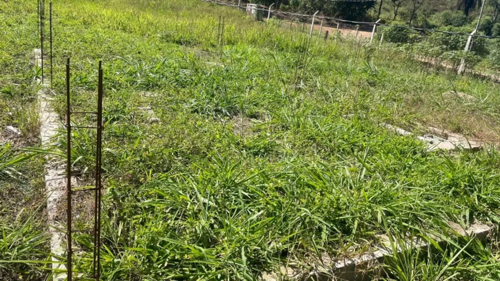 Terreno, 3000 m² - Foto 1