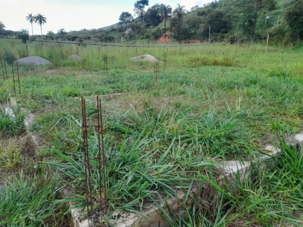 Terreno, 3000 m² - Foto 5
