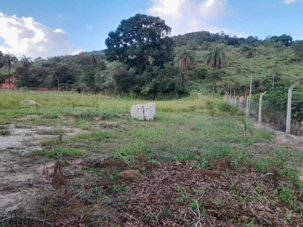 Terreno, 3000 m² - Foto 6