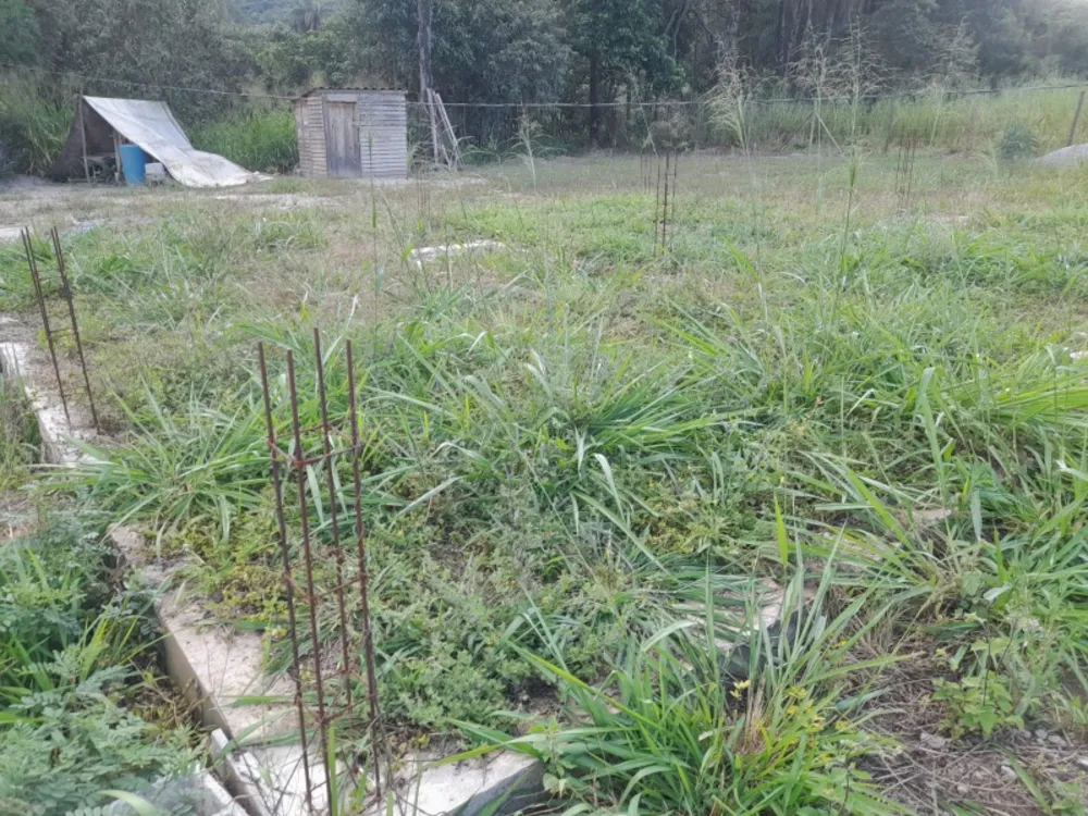 Terreno, 3000 m² - Foto 4