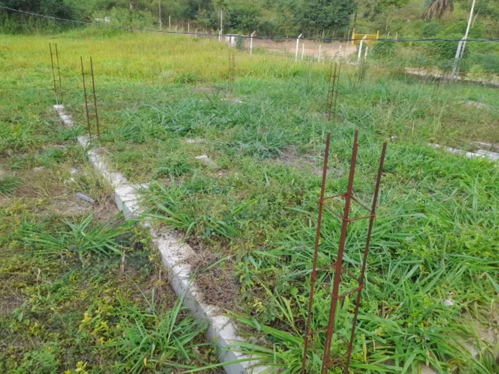 Terreno, 3000 m² - Foto 3