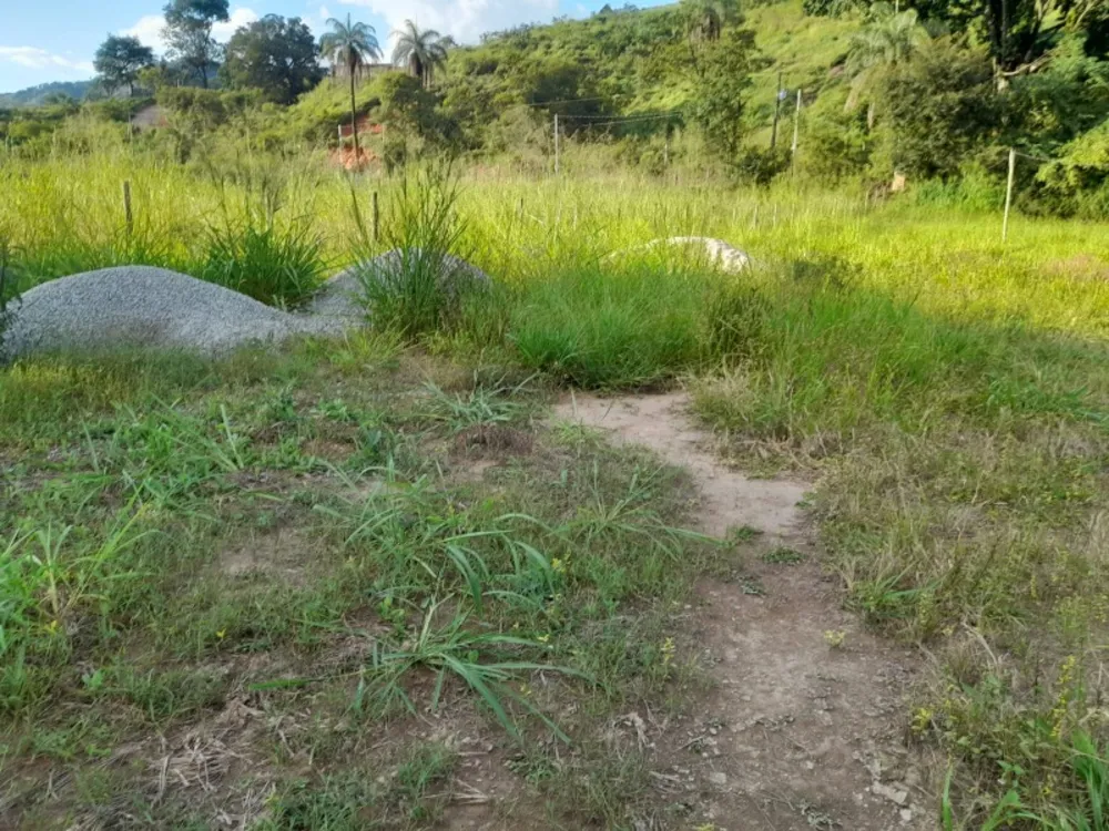 Terreno, 3000 m² - Foto 8