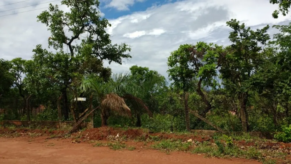 Terreno, 1000 m² - Foto 2