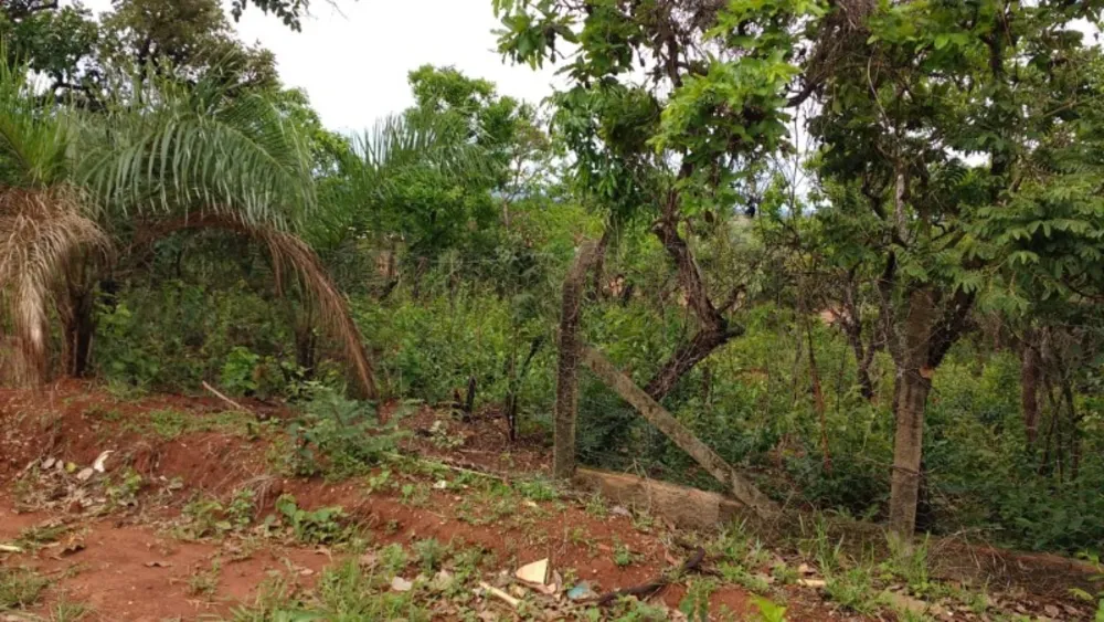 Terreno, 1000 m² - Foto 3
