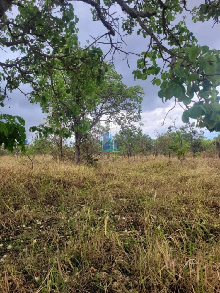Terreno, 2 hectares - Foto 1