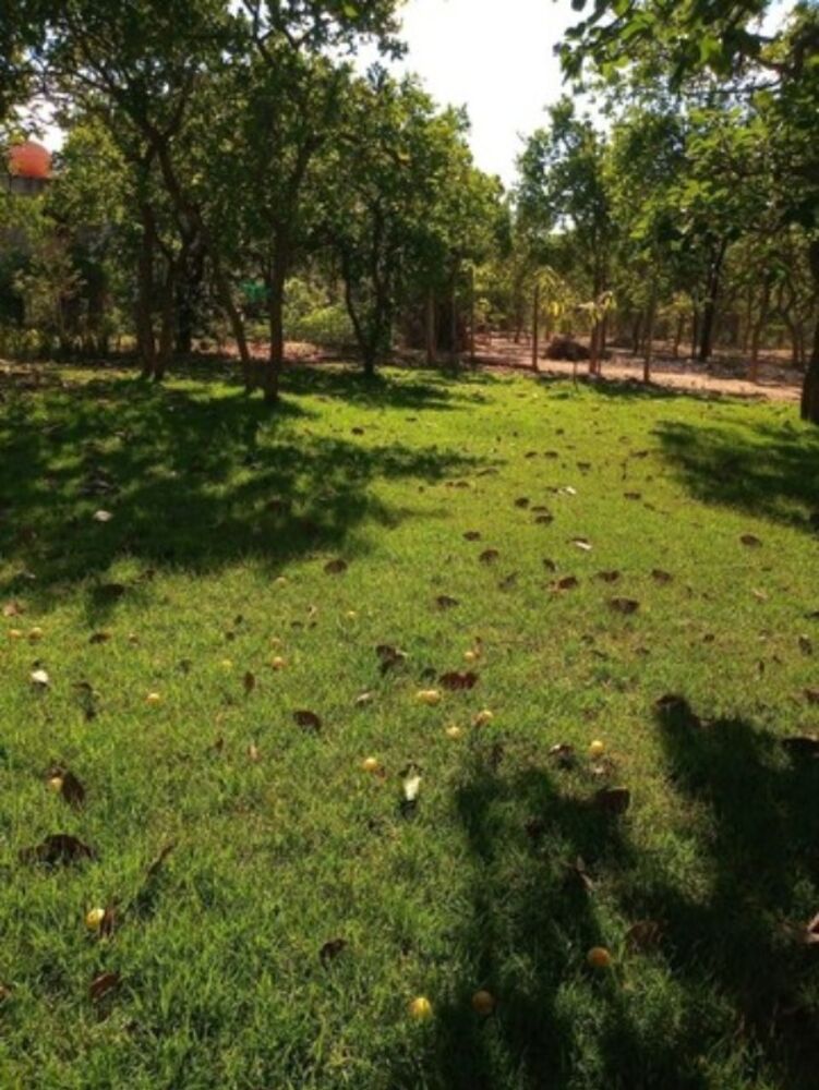 Terreno, 1000 m² - Foto 2