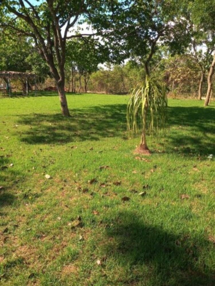 Terreno, 1000 m² - Foto 1