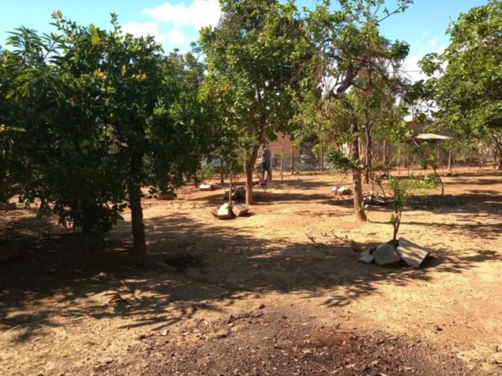 Terreno, 1000 m² - Foto 6
