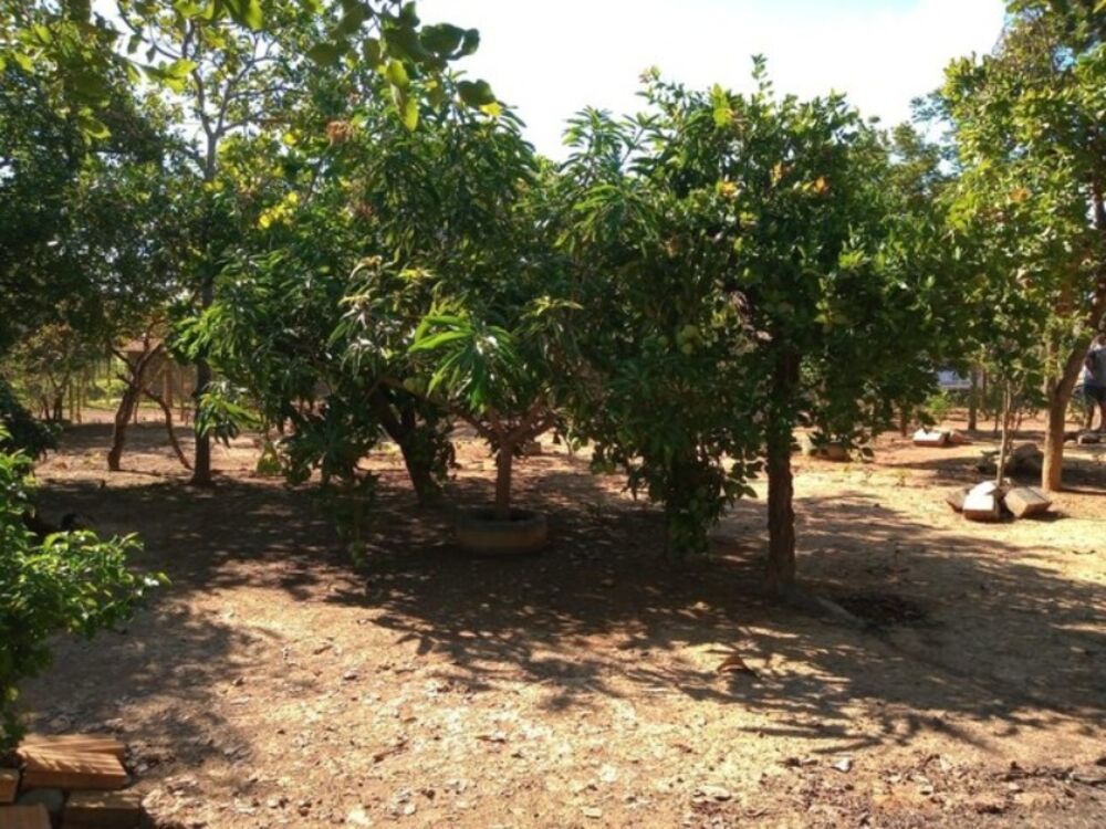 Terreno, 1000 m² - Foto 4