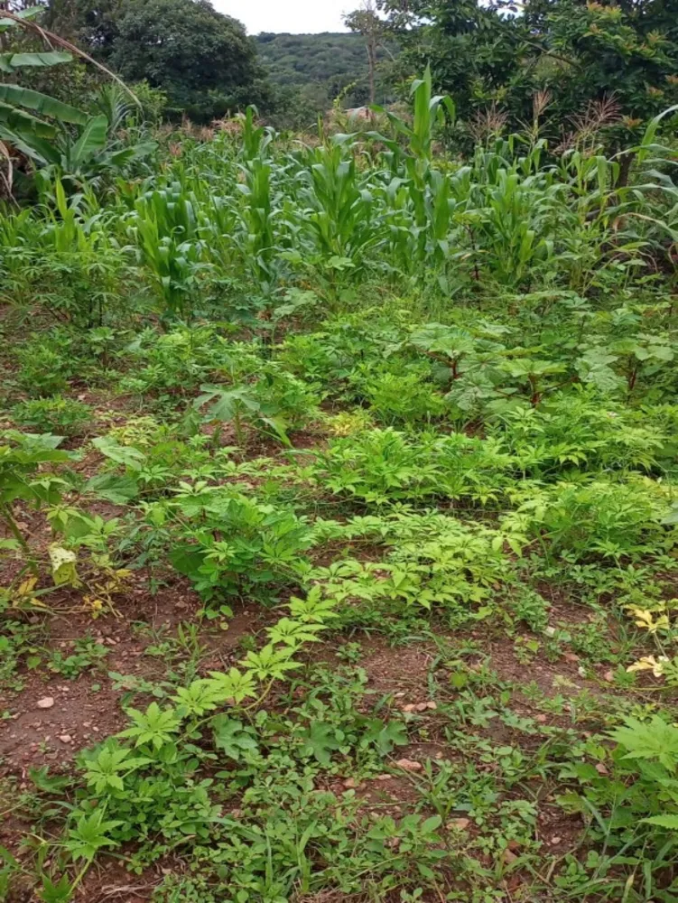 Terreno, 360 m² - Foto 4