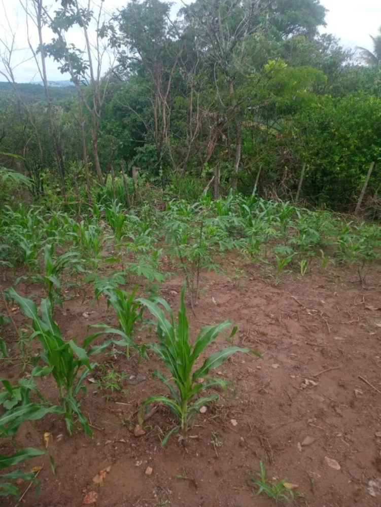 Terreno, 360 m² - Foto 1
