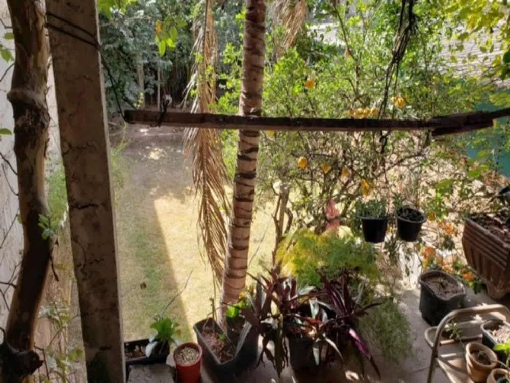 Casa, 5 quartos, 360 m² - Foto 14