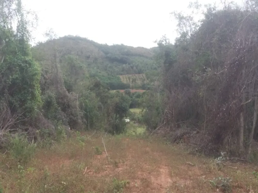 Chácara - Foto 6