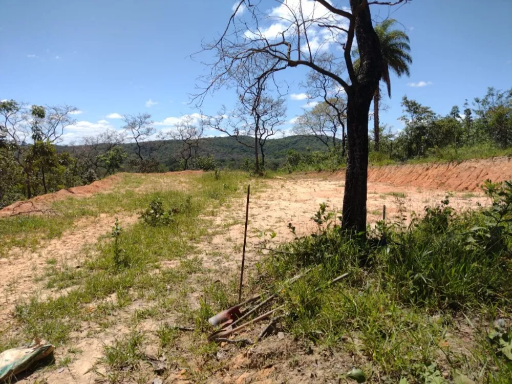 Terreno à venda, 5000m² - Foto 2