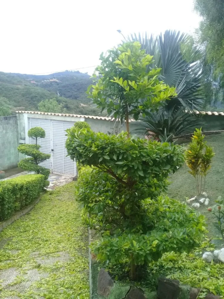 Casa, 3 quartos, 300 m² - Foto 7