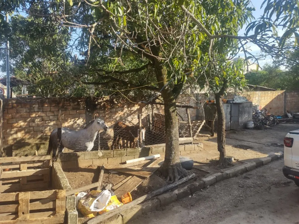 Casa, 3 quartos, 360 m² - Foto 11