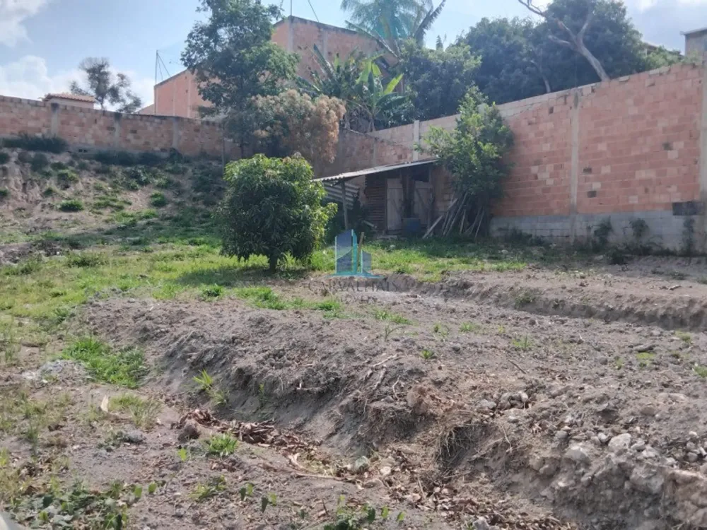 Terreno, 1000 m² - Foto 6