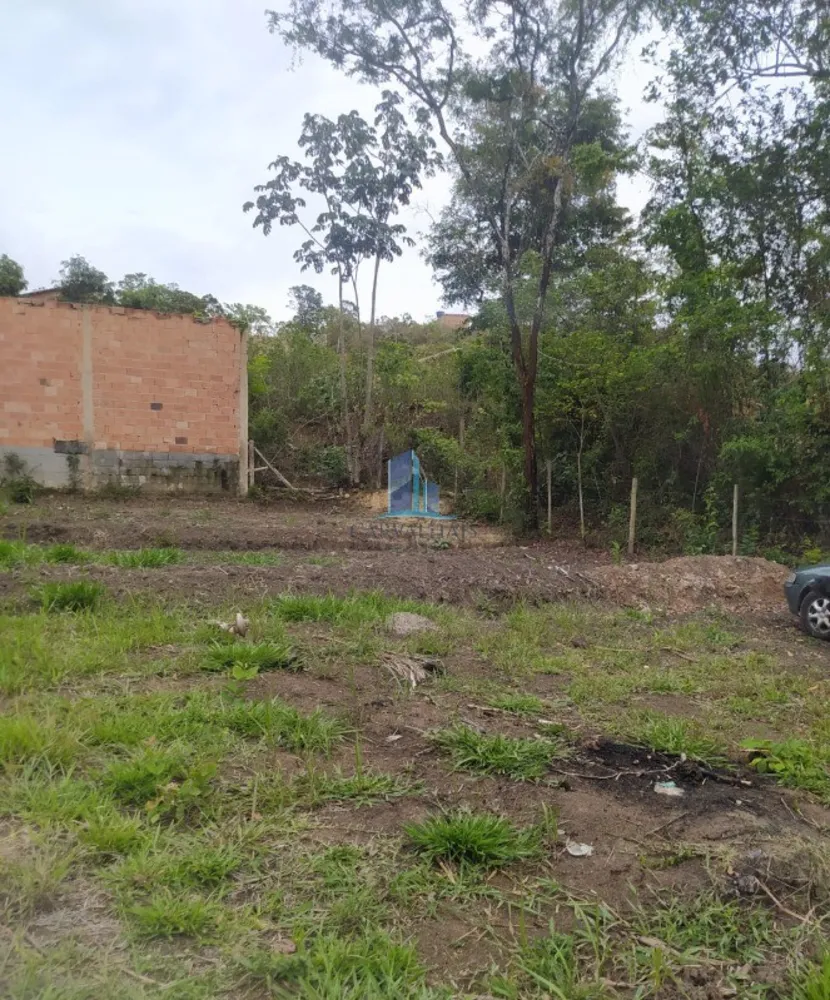 Terreno, 1000 m² - Foto 5