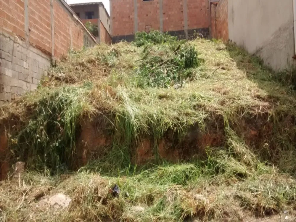 Terreno, 200 m² - Foto 3