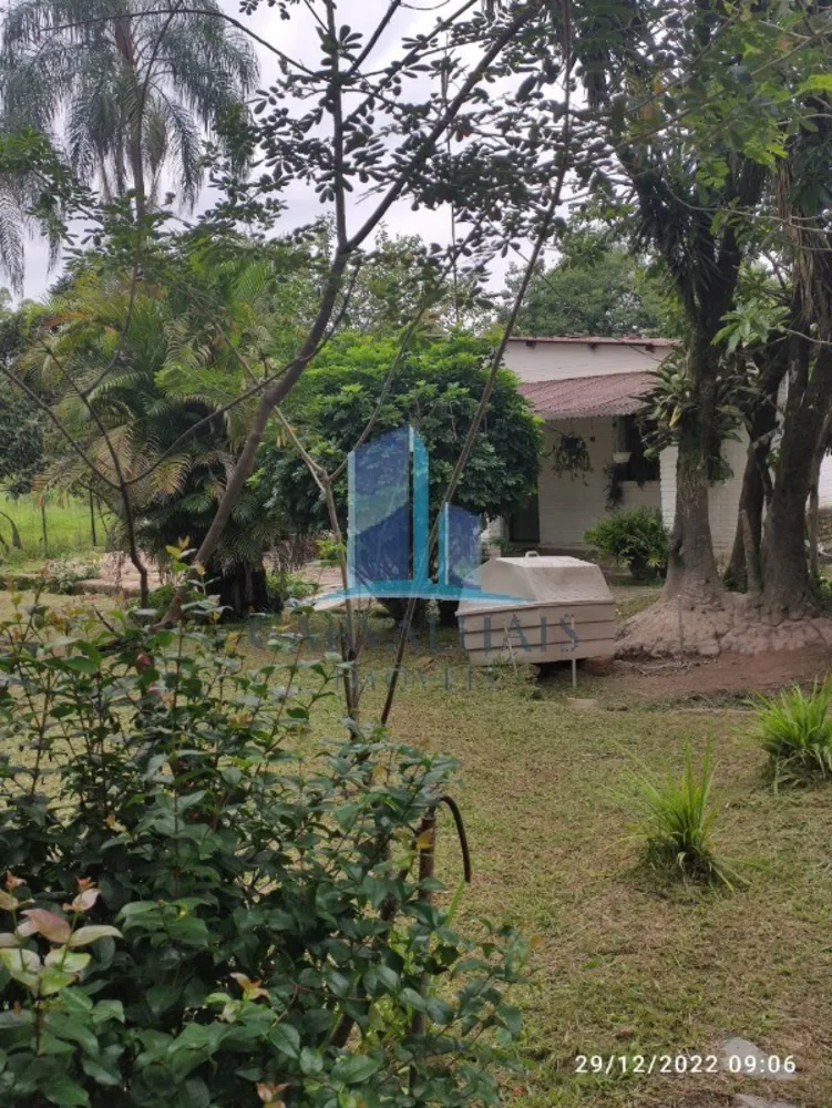 Chácara, 4 quartos - Foto 1