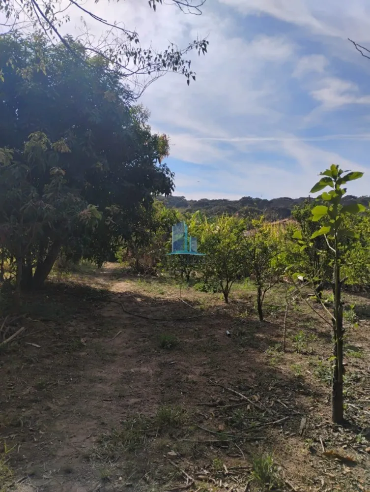 Sítio, 3 quartos, 1300 m² - Foto 5
