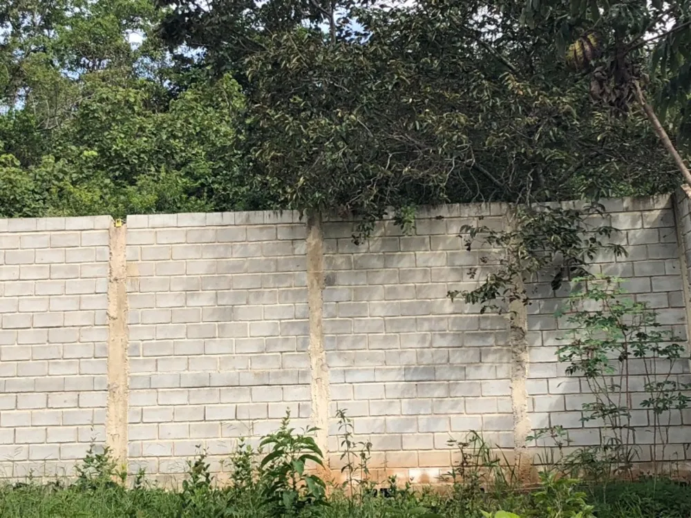 Terreno, 6500 m² - Foto 4